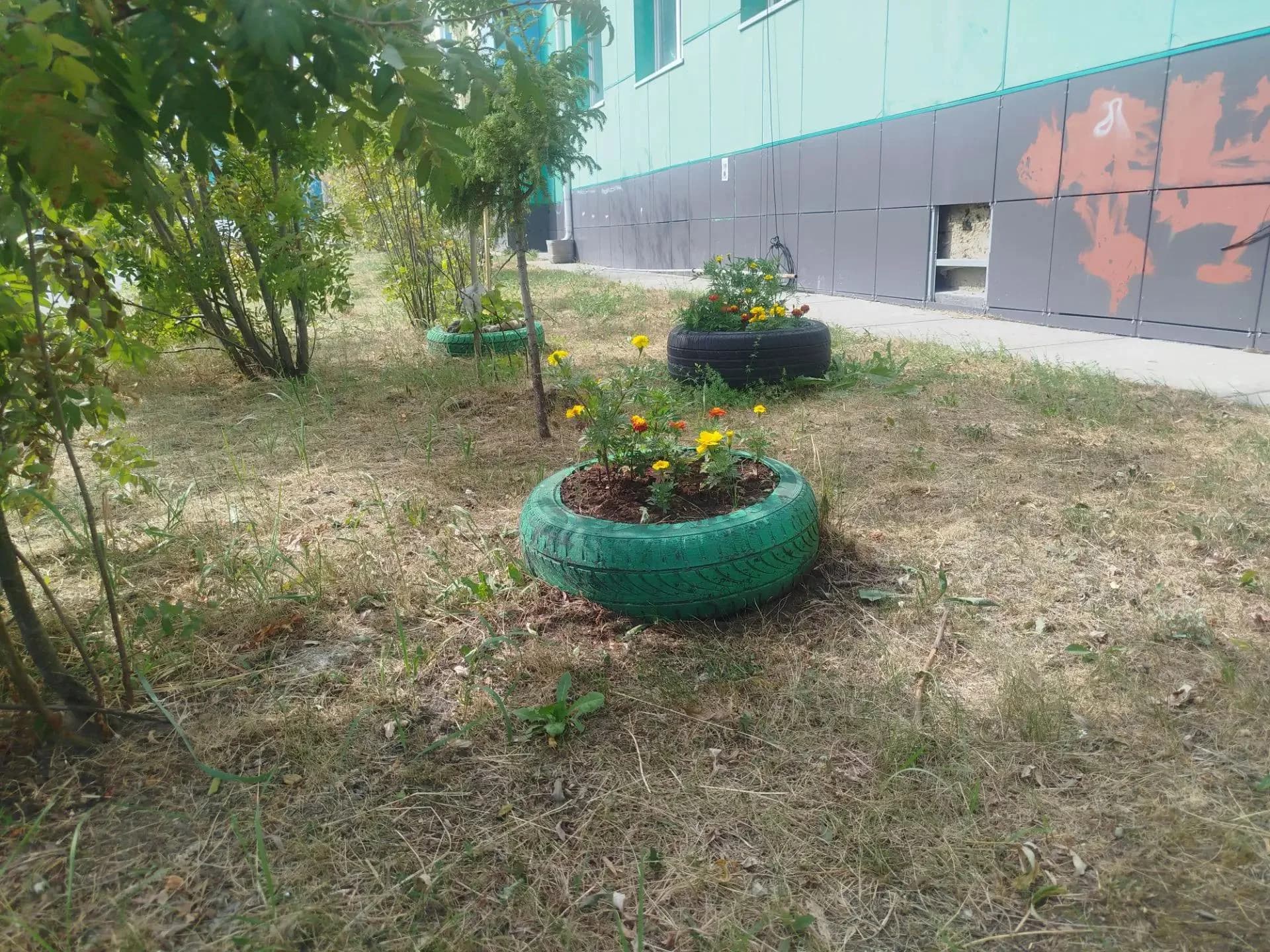 Покрышки.jpg