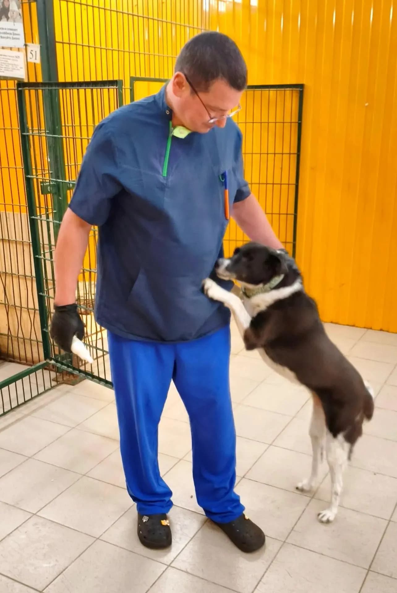 Глаукома лишила пса зрения, но он все равно узнает Игоря Глухова, своего врача, по запаху.