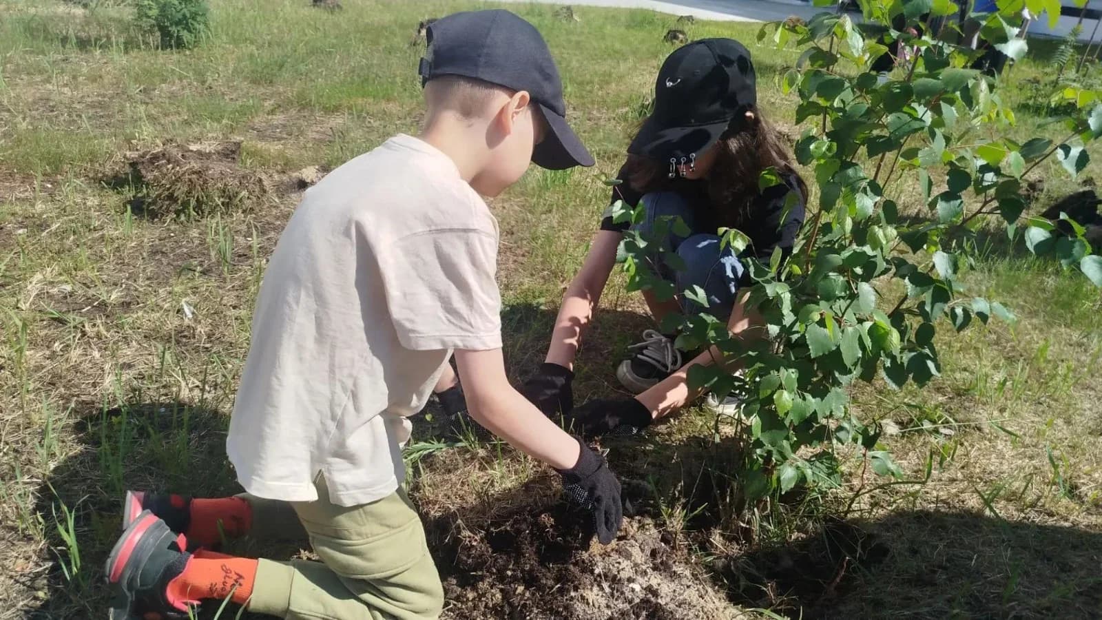 В «Семейном саду» Ноябрьска высадили новые деревья