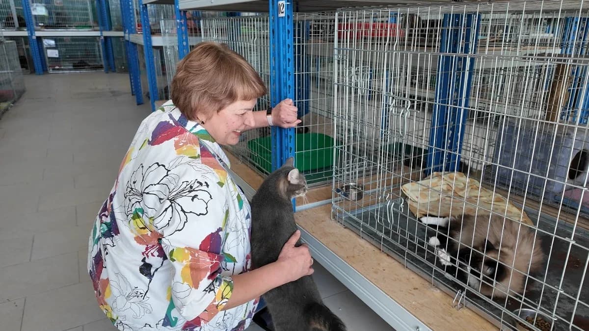 Жительница Ноябрьска рассказала, как решилась взять кошку из приюта и стала волонтером