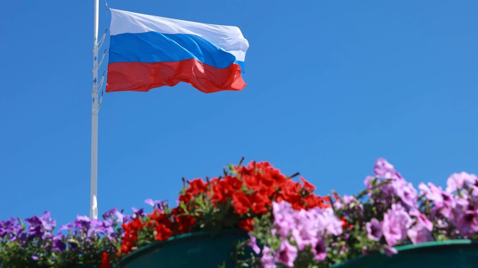 Ноябрьск отпразднует День Государственного флага РФ: программа торжеств (0+)