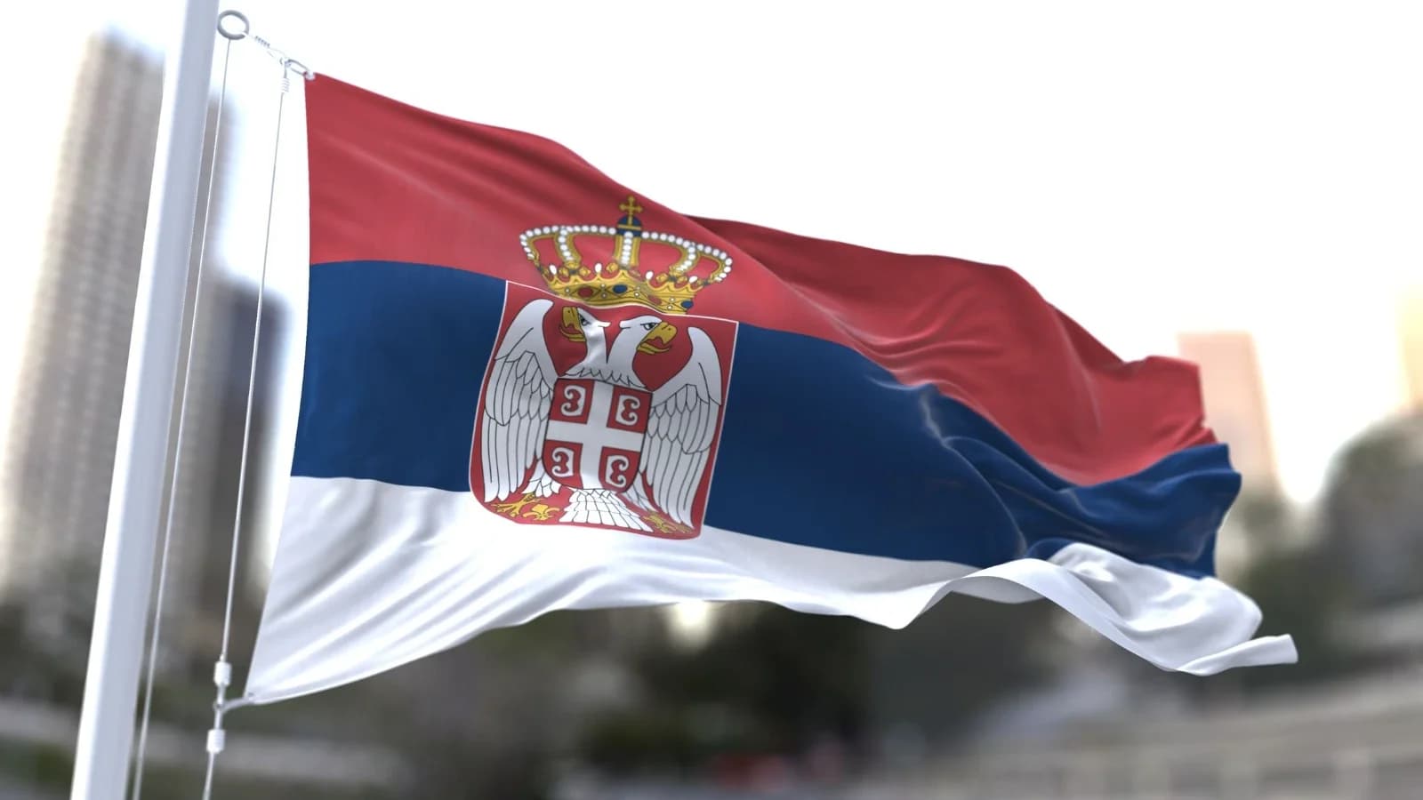 Ноябряне отправились в Сербию для укрепления исторической памяти и развития партнерства